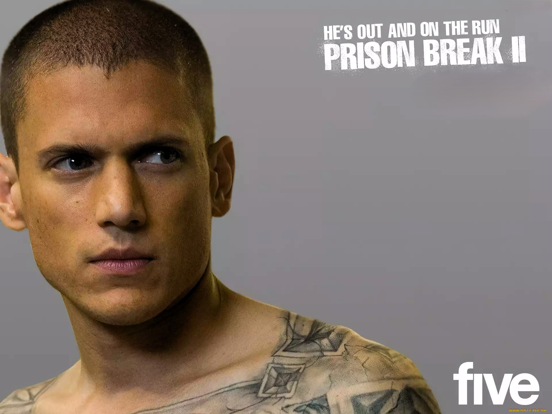  , prison break,  sequel, , 
